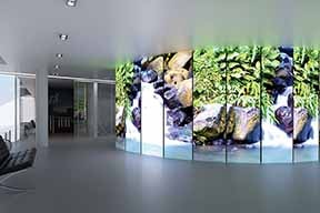 膜天井の施工例